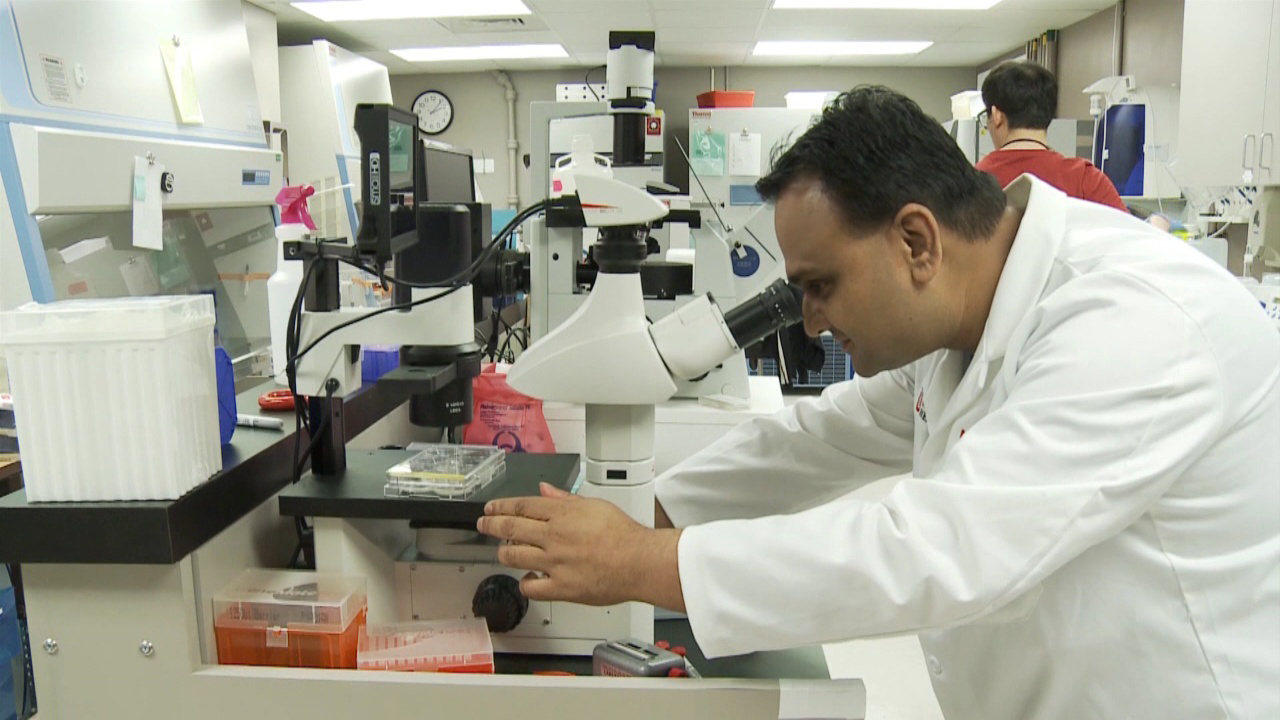 Stem Cell Therapy Offers New Hope for Treating Fistulas photo Stem Cell Therapy Offers New Hope for Treating Fistulas pictures