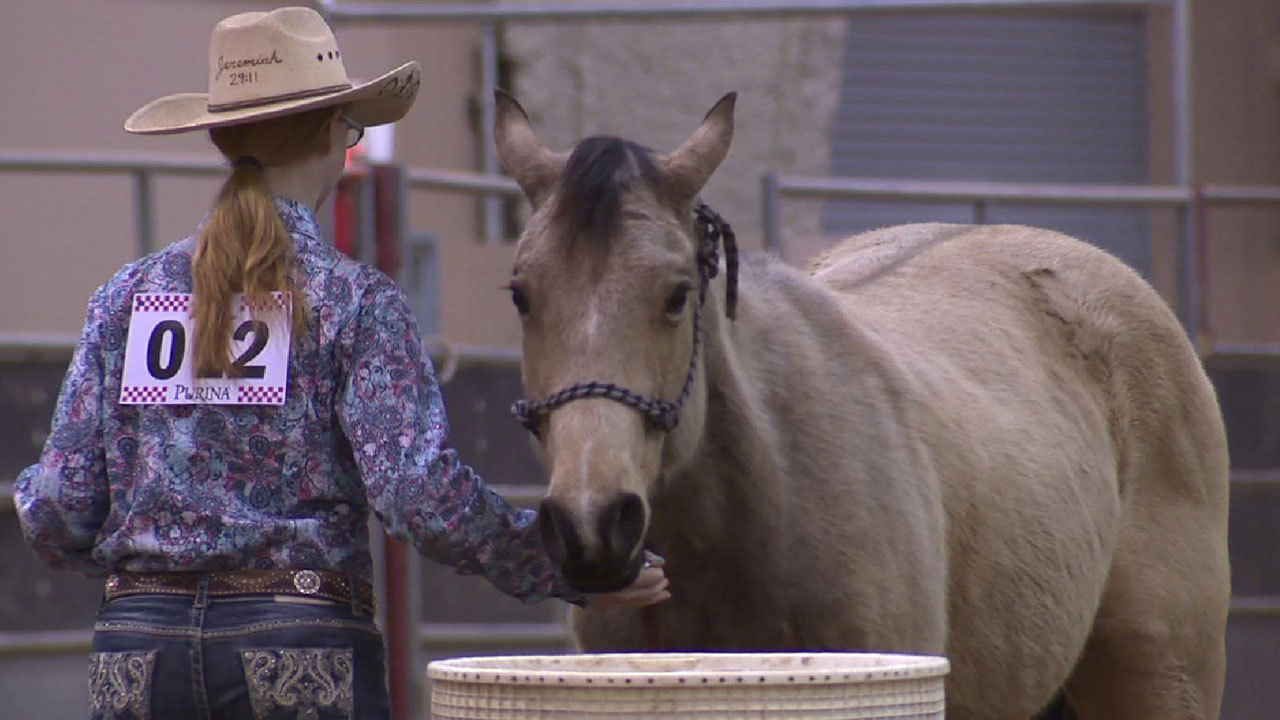 whos dating who in hollywood