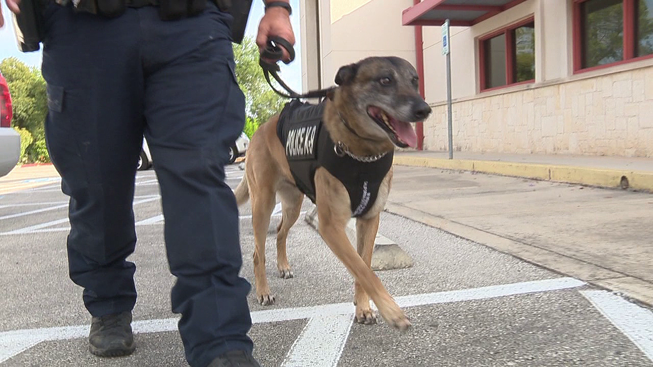 Converse PD gets bulletproof vests for police dogs