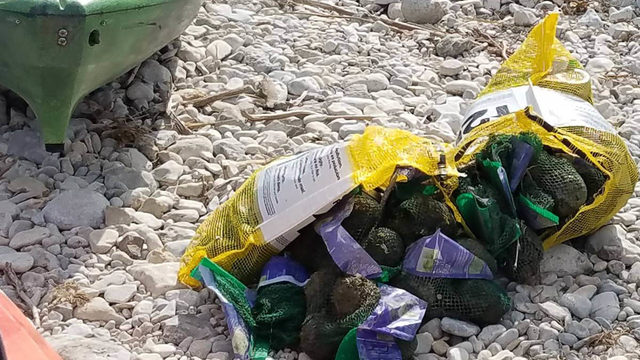 Truck crash sends 42,000 pounds of avocados spilling into South Llano River