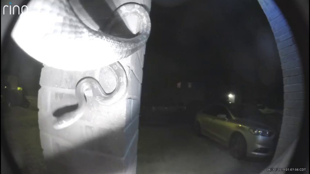 Image result for Giant Snake Caught On Video Ringing Doorbell