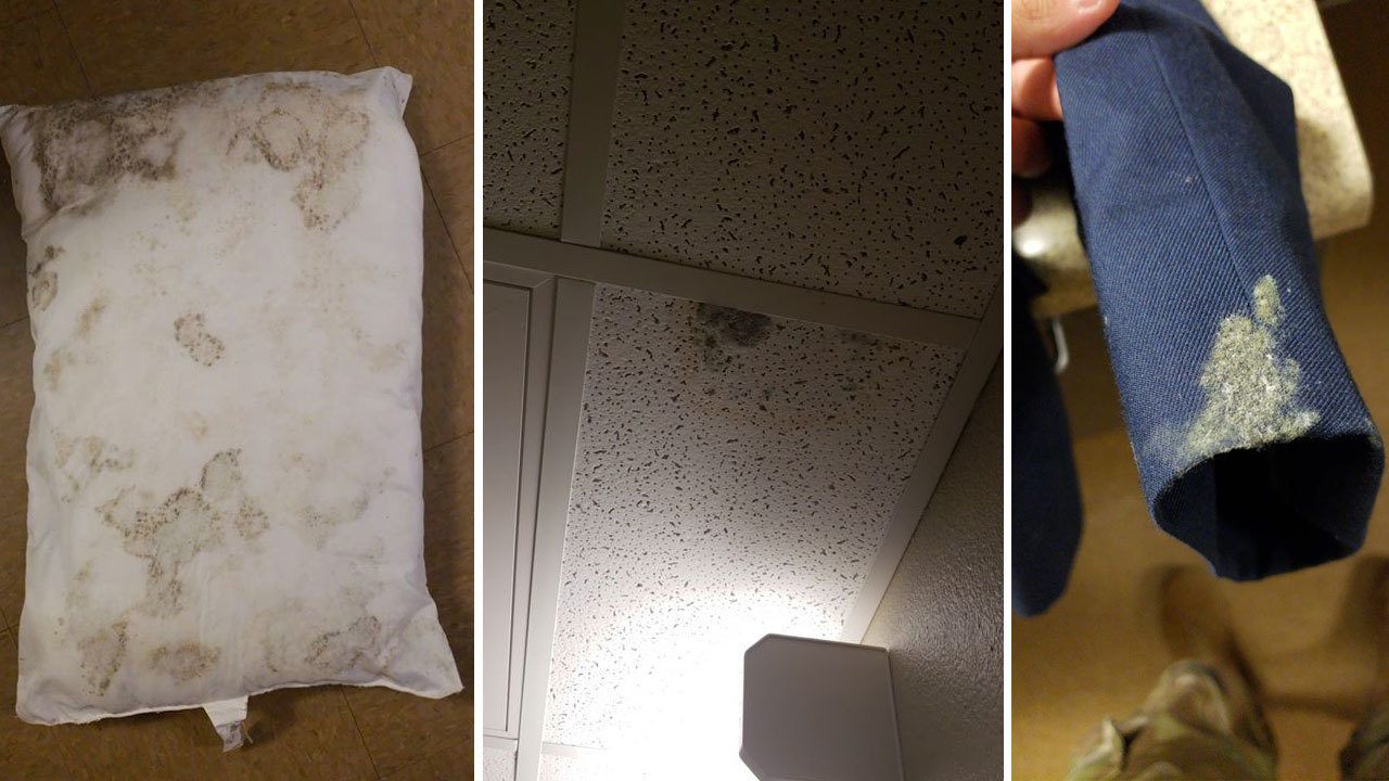 Report 'Mold world' in Lackland dorm rooms prompts review