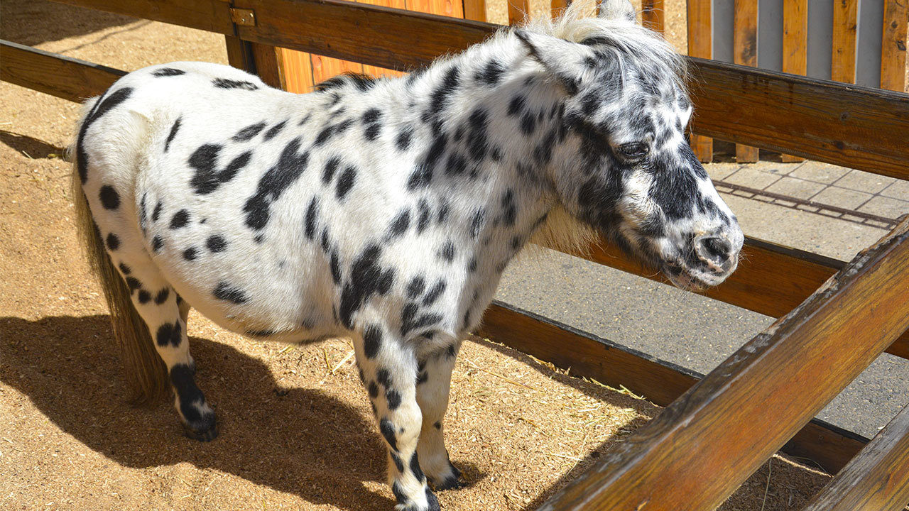 No description available