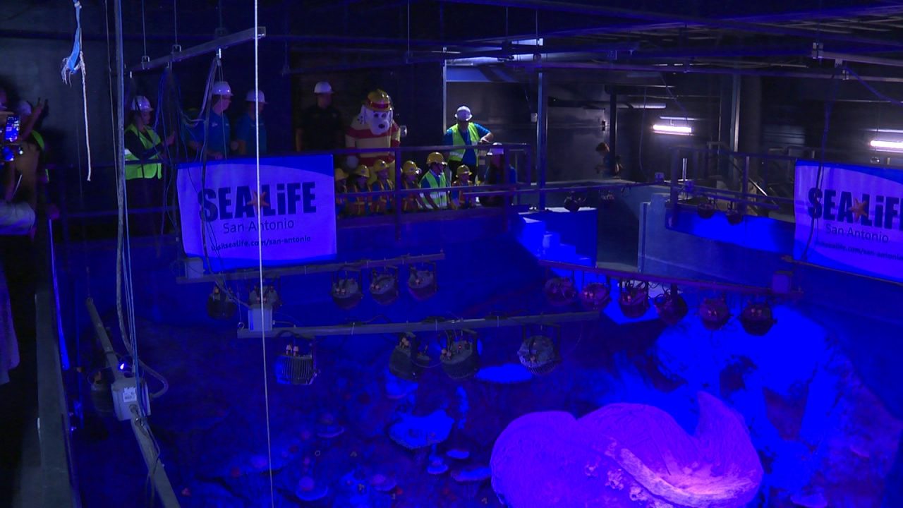 San Antonio's Sea Life Aquarium fills up tanks ahead of opening